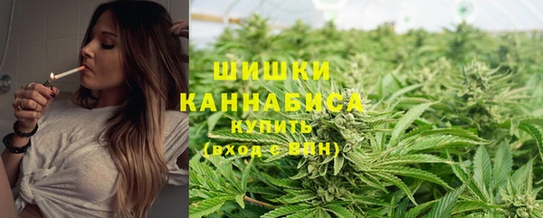 mix Дмитров